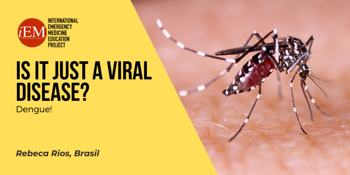 Allarme dengue in Brasile e Stati Uniti