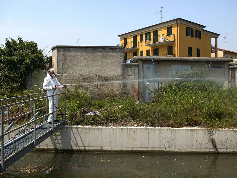 Disinfestazione esterna